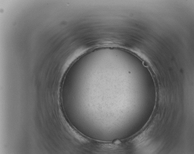 X0000062871333200601201744