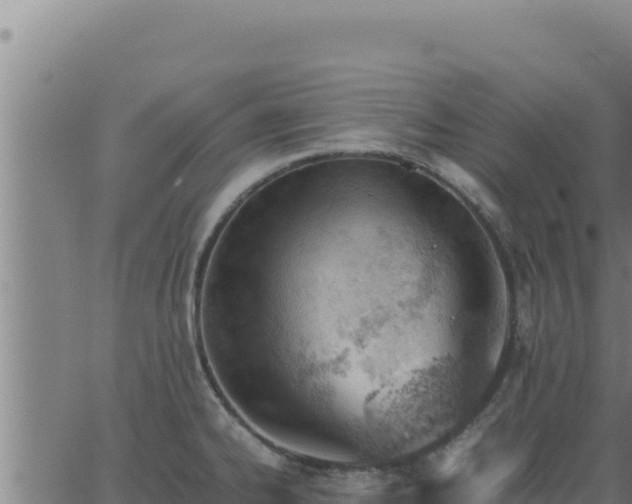 X0000062871334200601201744