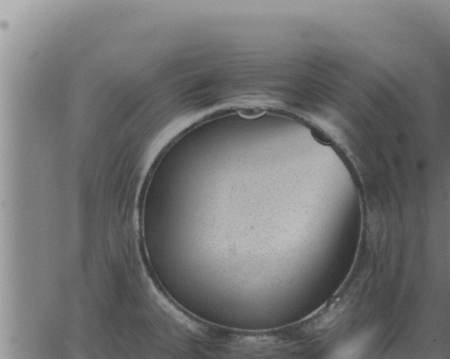 X0000062871335200601201744