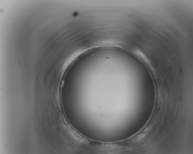 X0000062871336200601201744