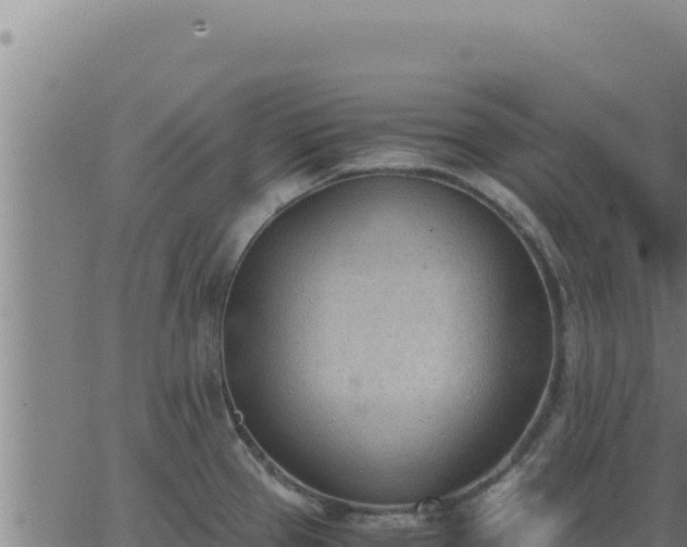 X0000062871337200601201744