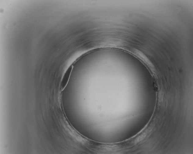 X0000062871340200601201744