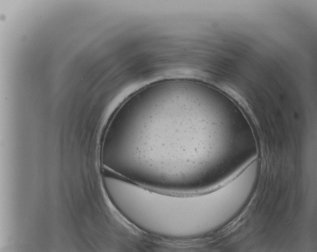 X0000062871342200601201744