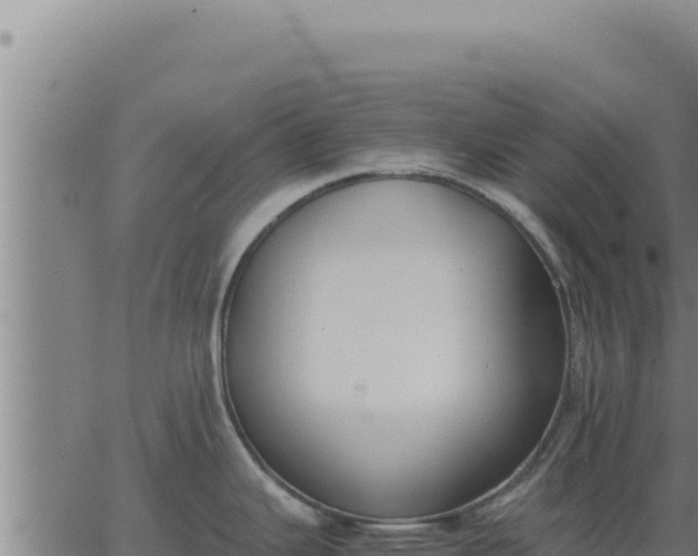 X0000062871343200601201745