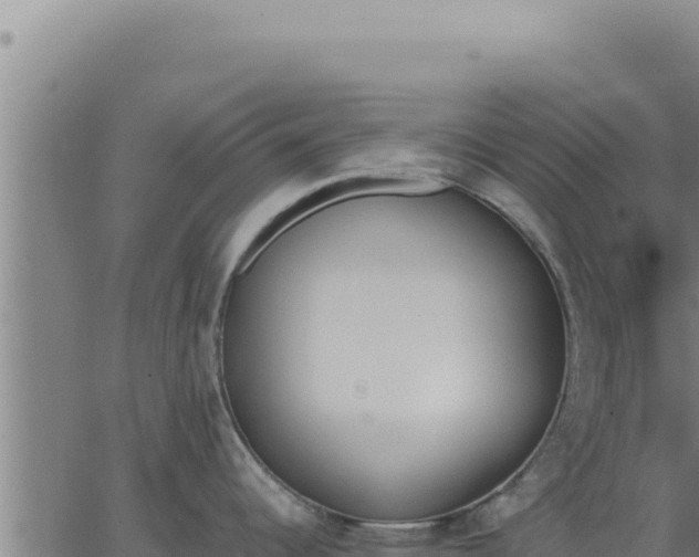 X0000062871344200601201745