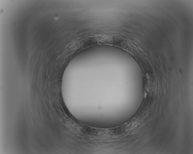 X0000062871345200601201744