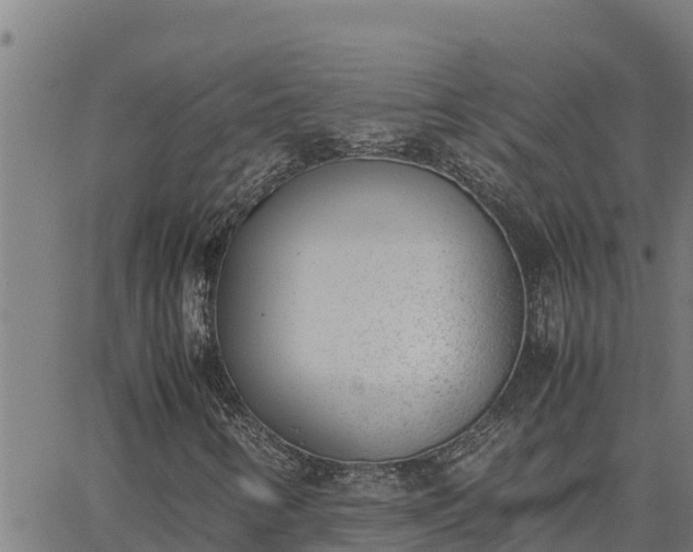 X0000062871346200601201744