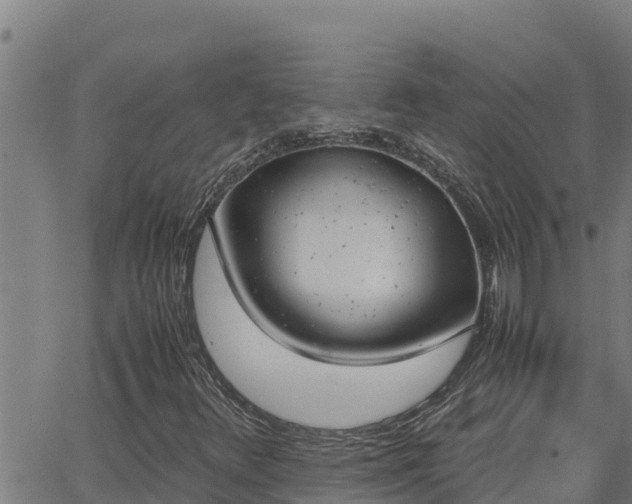 X0000062871348200601201744