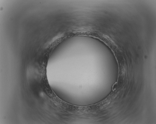 X0000062871350200601201744