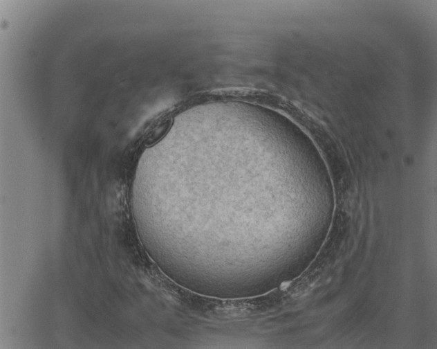 X0000062871351200601201744