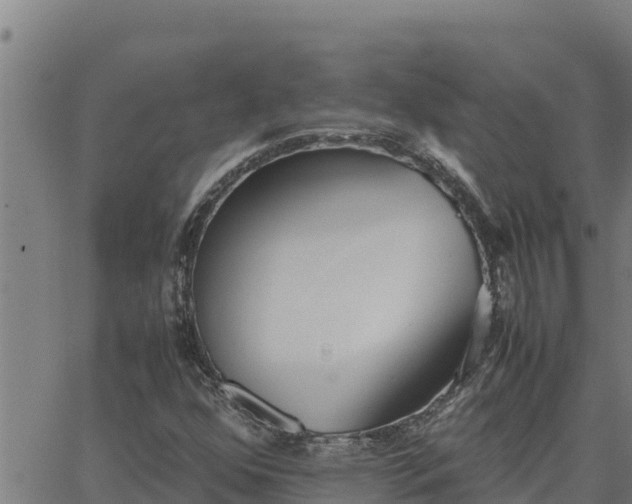 X0000062871352200601201744