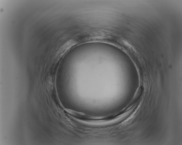 X0000062871353200601201744