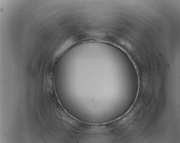 X0000062871354200601201744