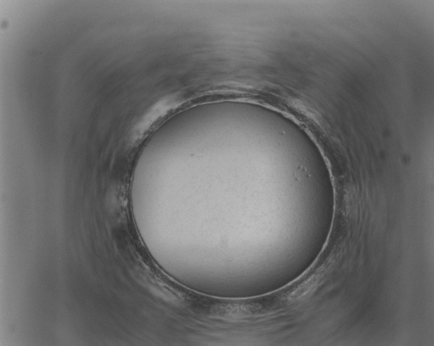 X0000062871355200601201744