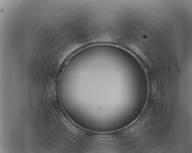 X0000062871356200601201744