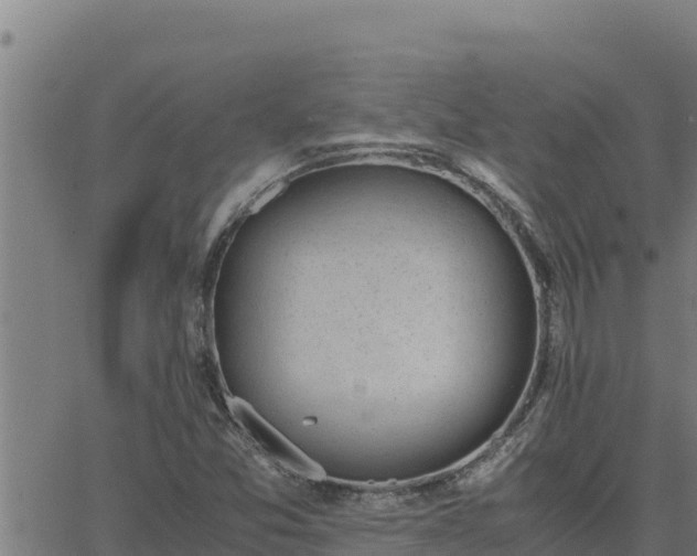 X0000062871357200601201744