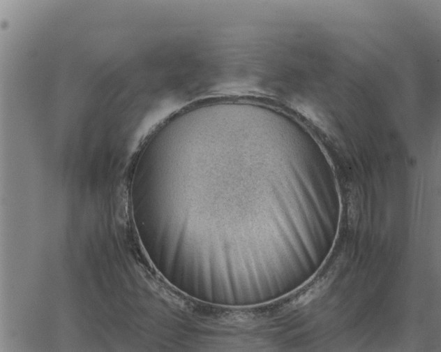 X0000062871358200601201744