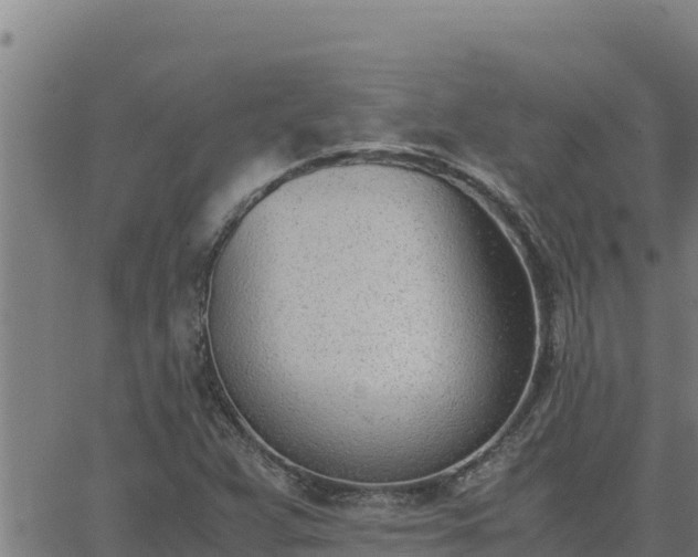 X0000062871359200601201744