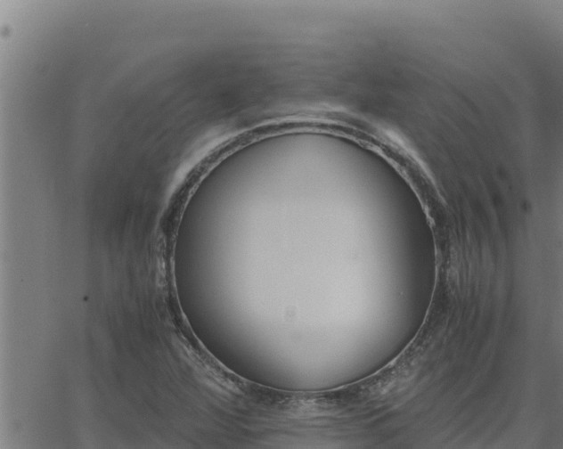 X0000062871360200601201743