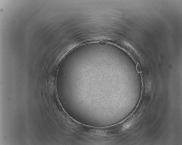 X0000062871361200601201743