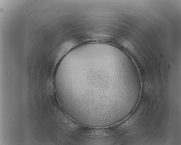 X0000062871362200601201743