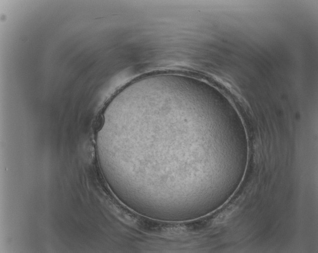 X0000062871363200601201743