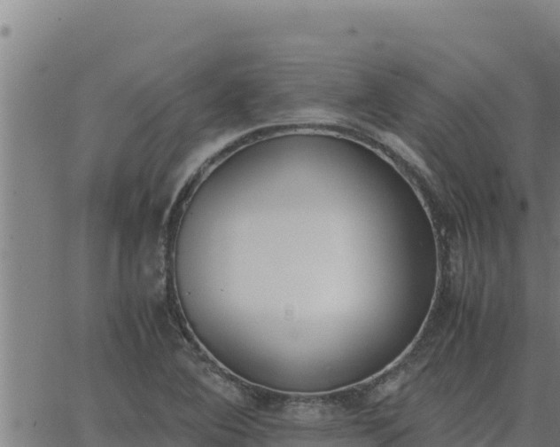 X0000062871364200601201743