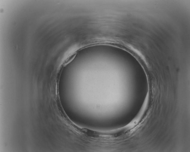 X0000062871365200601201743