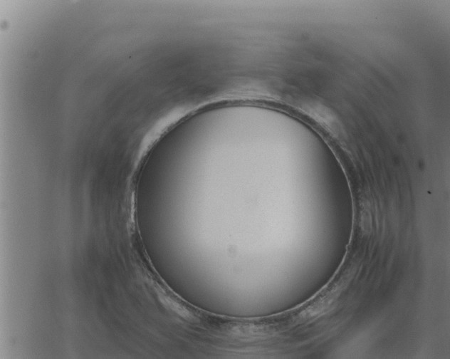 X0000062871366200601201743