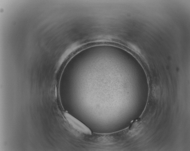 X0000062871368200601201743