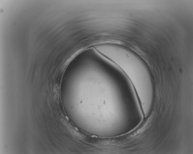 X0000062871369200601201743