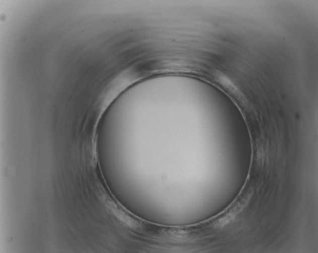 X0000062871370200601201743