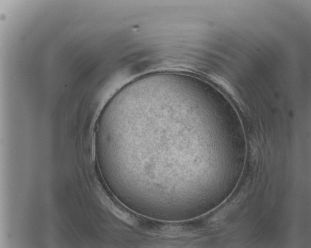 X0000062871371200601201743