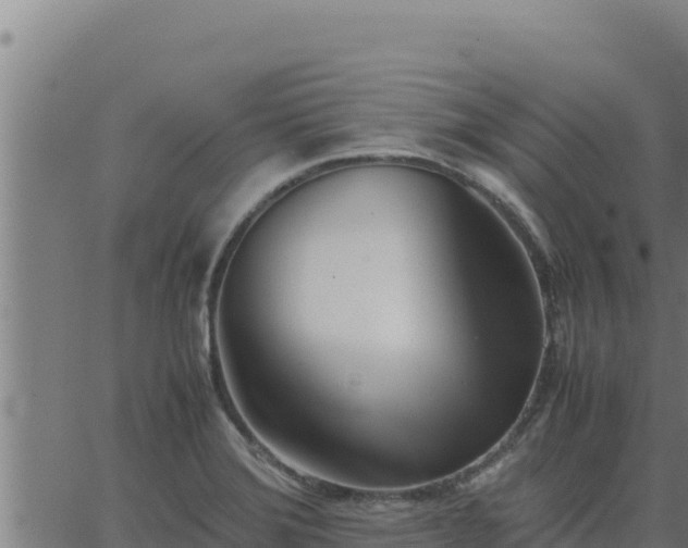 X0000062871372200601201743