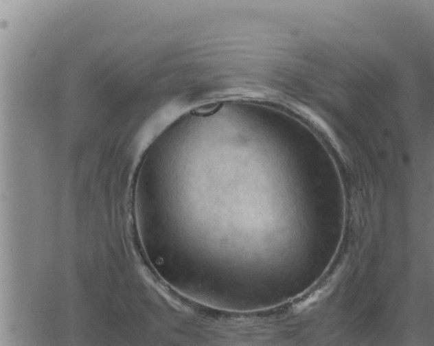 X0000062871373200601201743