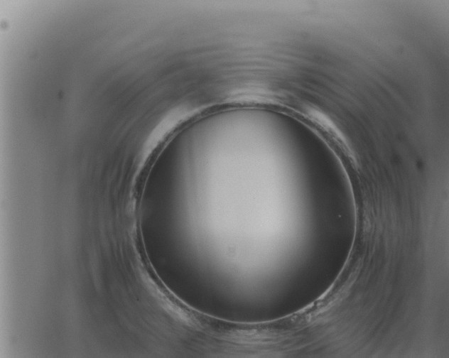 X0000062871376200601201743