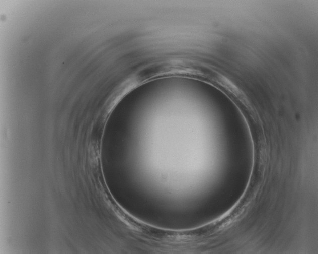 X0000062871377200601201743