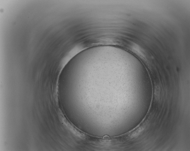 X0000062871378200601201743