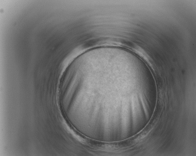 X0000062871379200601201743