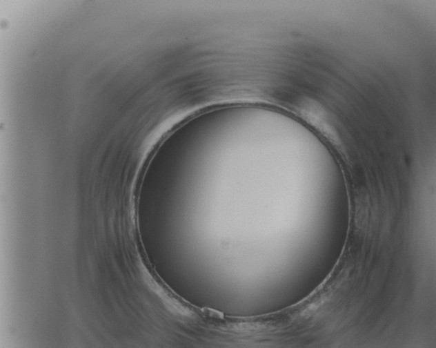 X0000062871380200601201743