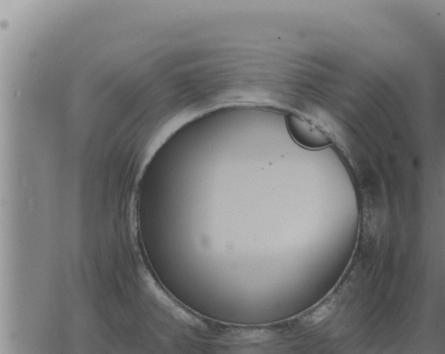 X0000062871382200601201743