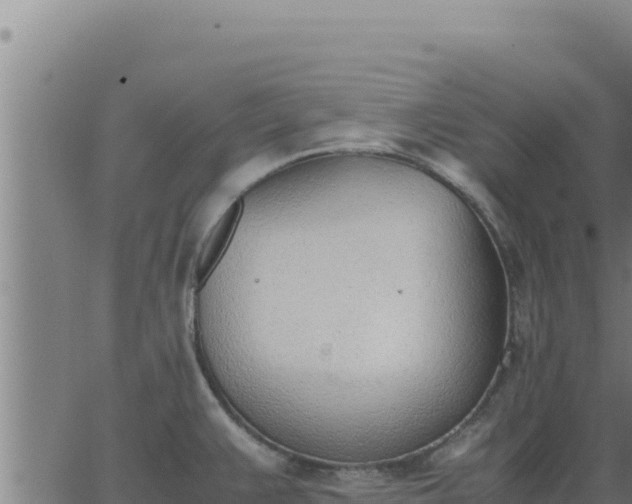 X0000062871383200601201743