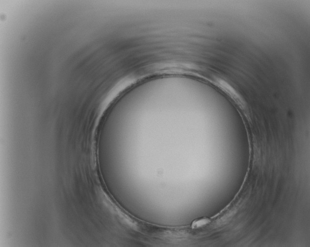 X0000062871384200601201743