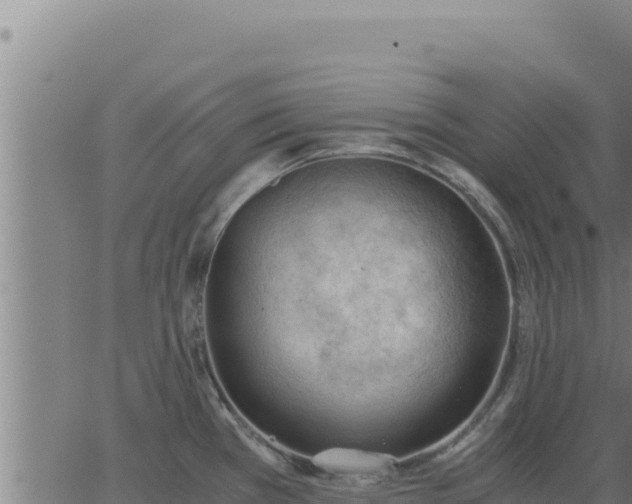 X0000062871385200601201743