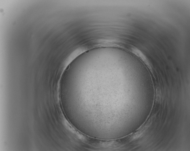 X0000062871386200601201743