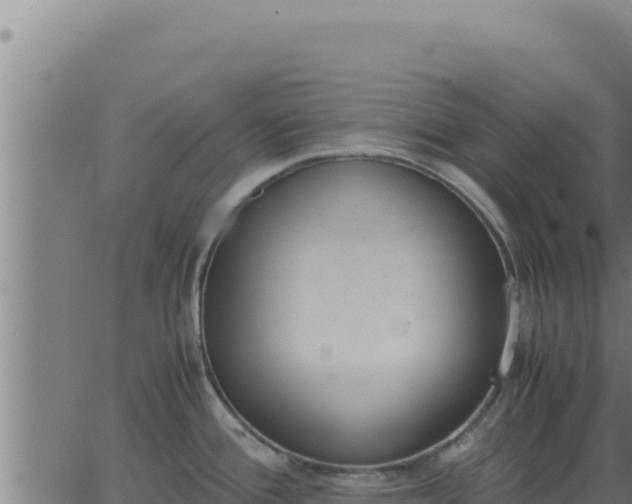 X0000062871388200601201743