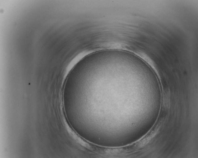 X0000062871389200601201743