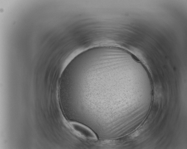 X0000062871390200601201743