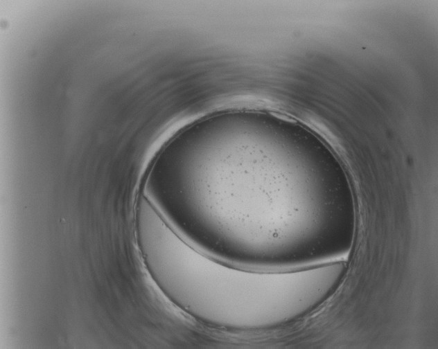 X0000062871392200601201743