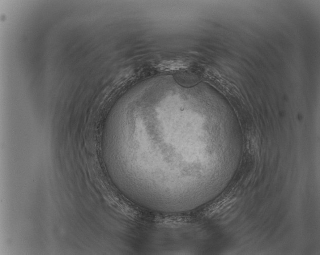 X0000062871393200601201742